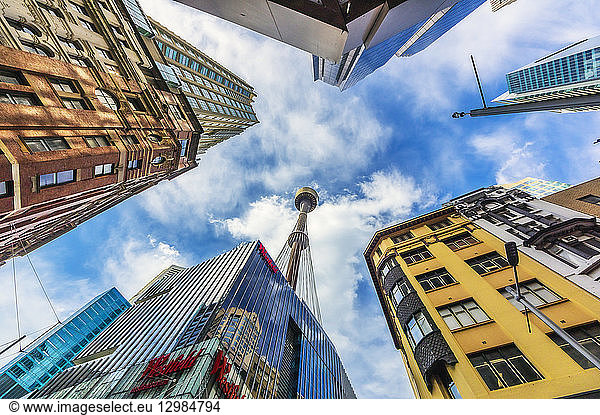 Australia  New South Wales  Sydney  cityview  Sydney Tower  worm's eye view
