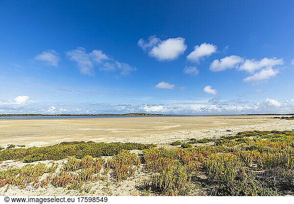 Australia  South Australia  Parnka Point beach in Coorong National Park
