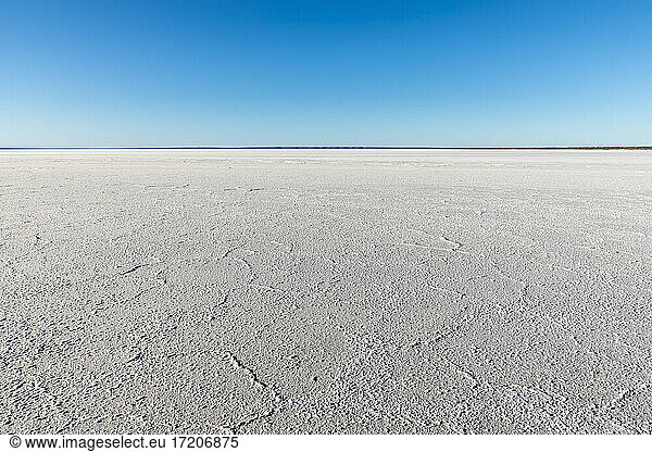 Australia  South Australia  Salt lake in Lake Hart Area