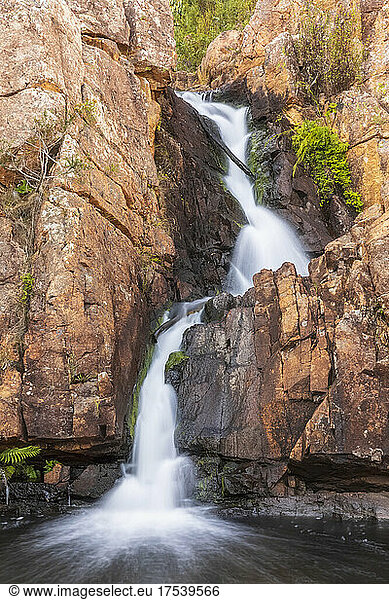 Australia  Victoria  Halls Gap  Long exposure of MacKenzie Falls tributary