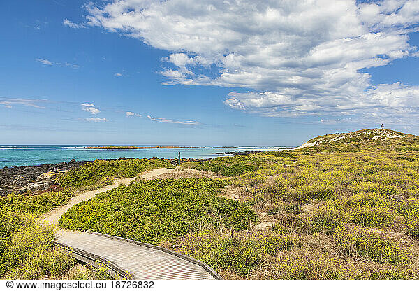 Australia  Victoria  Port Fairy  Boardwalk in Port Fairy Coastline Protection Reserve during summer