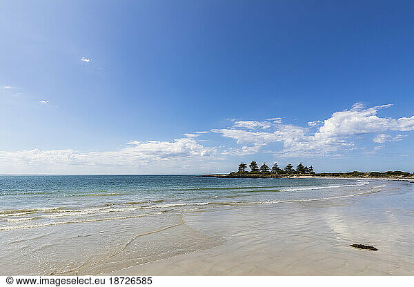 Australia  Victoria  Port Fairy  Sandy beach in Port Fairy Coastline Protection Reserve
