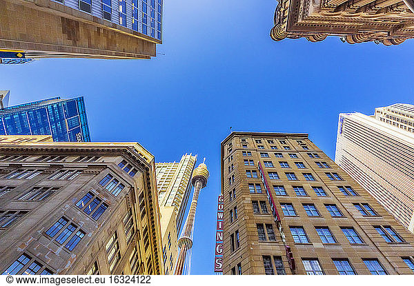Australien  New South Wales  Sydney  Stadtansicht  Sydney Tower  Froschperspektive
