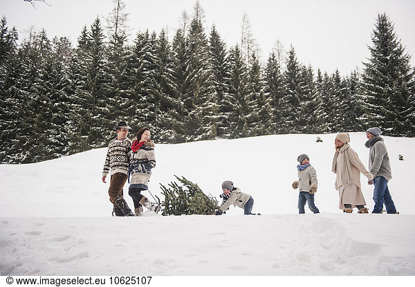 Austria  Altenmarkt-Zauchensee  two couples and two children transporting Christmas tree through winter forest