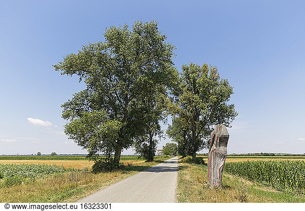 Austria  Burgenland  Andau  rural road