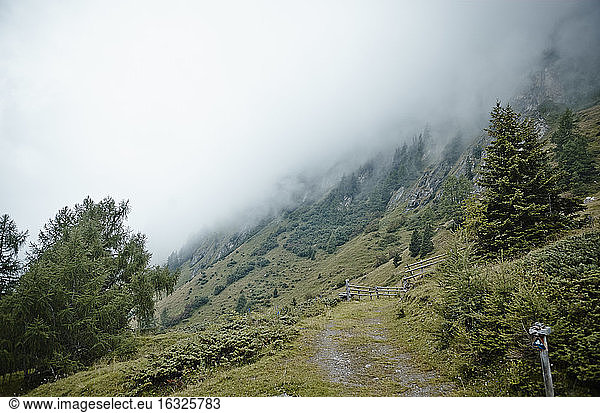 Austria  East Tyrol  Hohe Tauern National Park  mountains in fog
