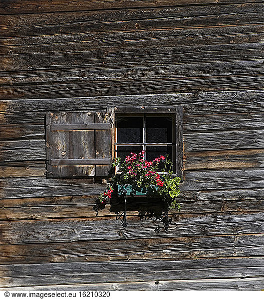 Austria  Krimmler Achental  Alpine hut  window with flowers