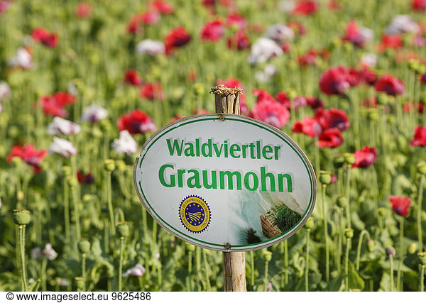 Austria  Lower Austria  Waldviertel  Sign Waldviertel grey poppy at poppy field