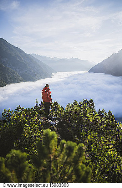 Austria  Plansee  Man standing in trees above valley in clouds in Austrian Alps