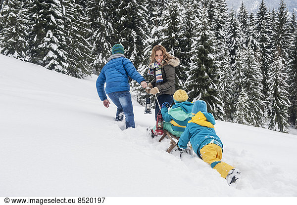 Austria Salzburg Country Altenmarkt-Zauchensee Family walking in snow pulling sledge