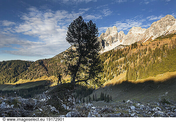 Austria  Salzburger Land  Dachstein Mountains at dusk with silhouette of male hiker standing by lone tree