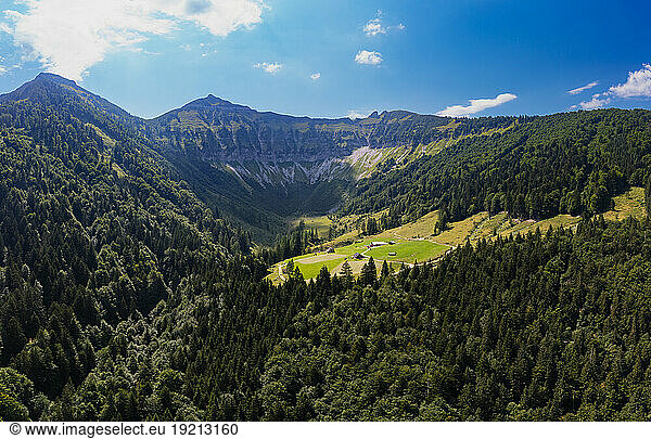 Austria  Salzburger Land  Drone view of forested valley in Salzkammergut mountains