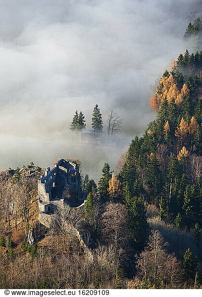 Austria  Salzkammergut  Castle ruin Wartenfels and trees covered with fog