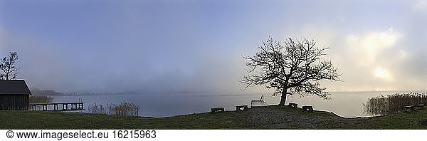 Austria  Salzkammergut  Lake Irrsee with morning fog