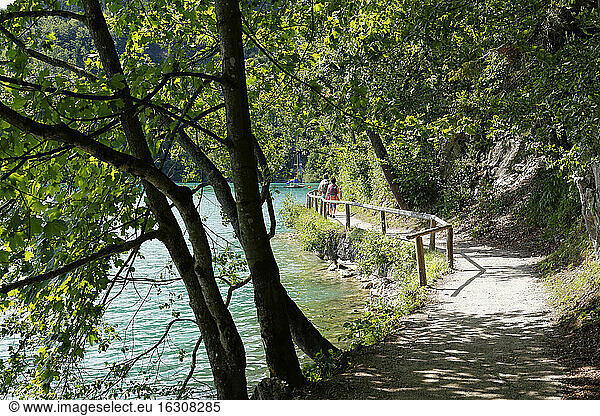 Austria  Salzkammergut  Salzburg State  Sankt Gilgen  Brunnwinkl  Hiking path at Lake Wolfgangsee