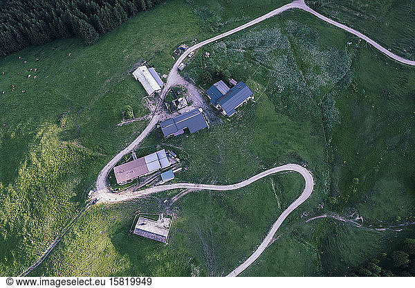 Austria  Tyrol  Achenkirch  Aerial view of farmhouses surrounded by winding road