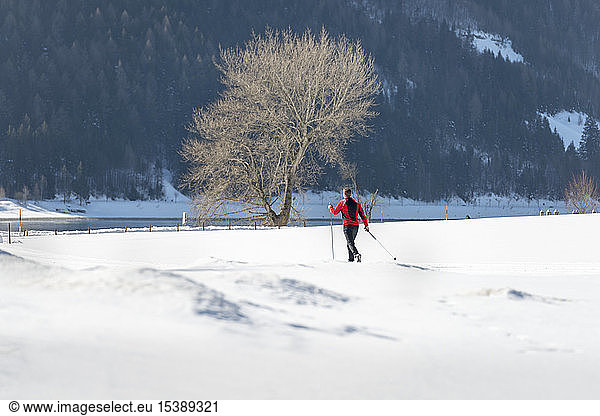 Austria  Tyrol  Achensee  man doing cross country skiing