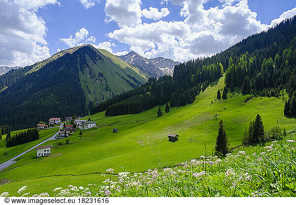 Austria  Tyrol  Berwang  View of green mountain valley in summer