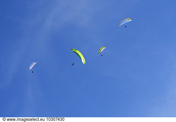 Austria  Tyrol  four paragliders in front of blue sky