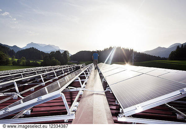 Austria Tyrol Koessen back view of worker walking on solar plant in the evening