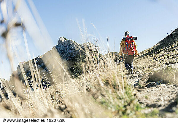 Austria  Tyrol  man hiking in the mountains