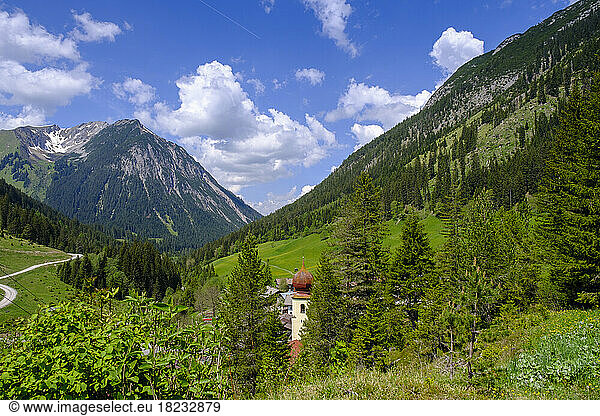Austria  Tyrol  Namlos  Green valley in European Alps