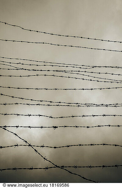 Austria  Upper Austria  Barbed wire fence of Iron Curtain Memorial against cloudy sky