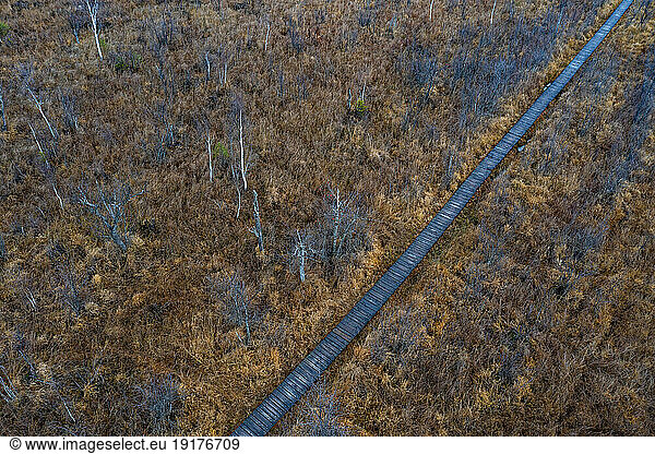 Austria  Upper Austria  Drone view of boardwalk in Ibmer Moor reserve