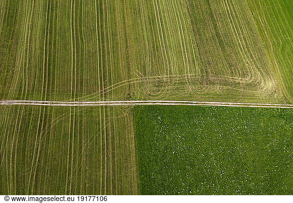 Austria  Upper Austria  Drone view of country road stretching between green fields