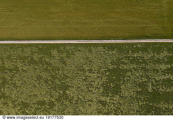 Austria  Upper Austria  Drone view of country road stretching between green fields