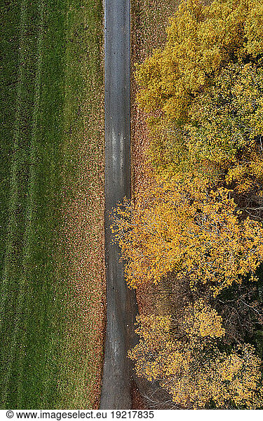 Austria  Upper Austria  Drone view of dirt road stretching along autumn painted trees