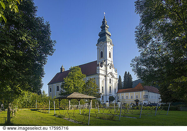 Austria  Upper Austria  Engelhartszell an der Donau  Small vineyard of Engelszell Abbey