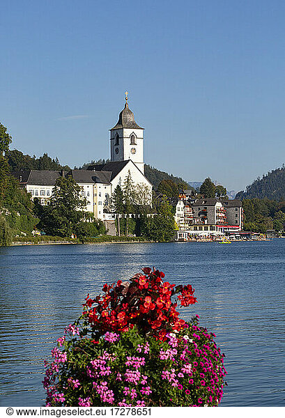 Austria  Upper Austria  Saint Wolfgang im Salzkammergut  Flowers blooming over shore of Lake Wolfgangsee in summer with church in background