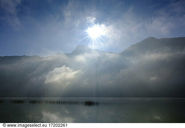 Austria  Upper Austria  Salzkammergut  Mondsee lake in autumn fog at sunrise
