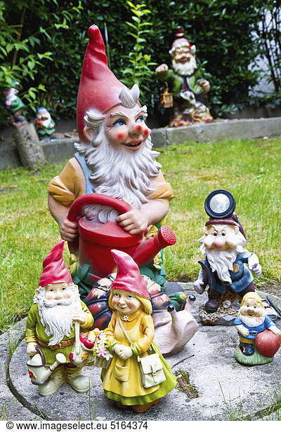 Austria  Vienna  Close up of garden gnomes