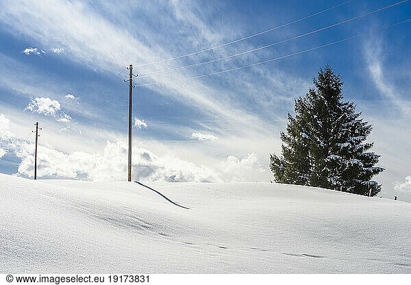 Austria  Vorarlberg  Telephone poles in Allgau Alps