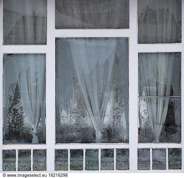 Austria  Window with ice crystal
