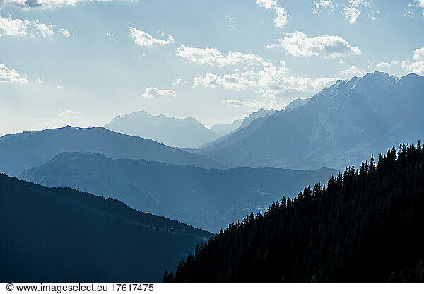 Austrian Alps on a sunny day  with silhouetted forest in the foreground; Wagrain  Austria
