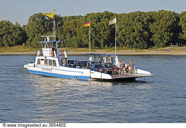 Autofähre  Schiffsverbindung  Zons  Dormagen  Niederrhein  Nordrhein-Westfalen  Deutschland  Europa