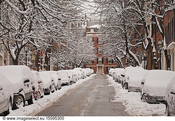 Autos mit Schnee bedeckt  Chestnut Street  Beacon Hill  Boston  Suffolk County  Massachusetts  USA