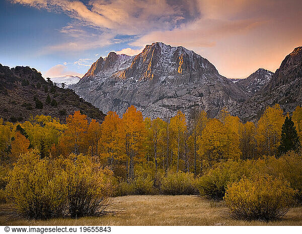 Autumn Aspens  snowcapped peaks and a beautiful sunrise photographed from June Lake Loop  Eastern Sierra  California.