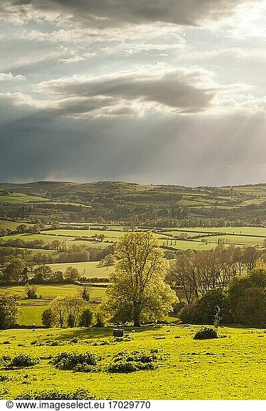Autumn colours at sunset  Winchcombe and the Sudely Valley  The Cotswolds  Gloucestershire  England  United Kingdom  Europe
