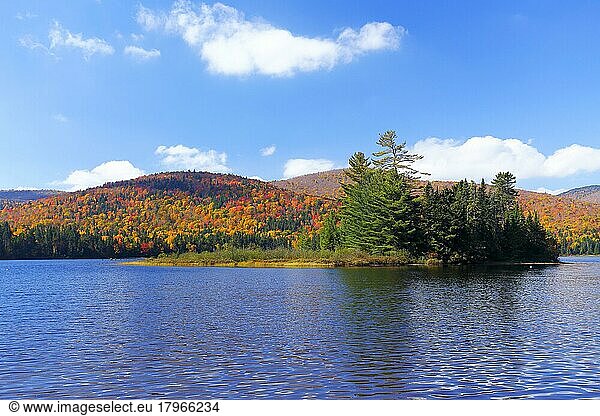 Autumn colours  National Park Mont Tremblant  Province of Quebec  Canada  North America