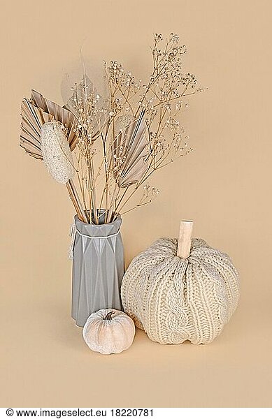 Autumn decoration with boho style knitted beige pumpkin and dried flowers