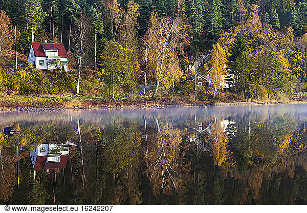 Autumn forest reflecting in lake