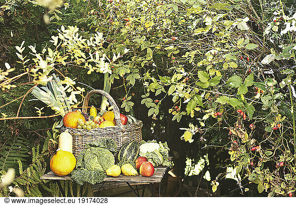 Autumn fruits and vegetables on garden table