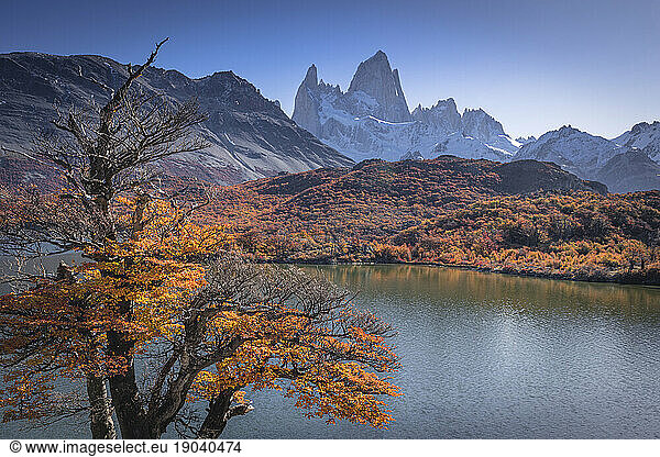 autumn in el chaltÃ©n with fitzroy peak in the background