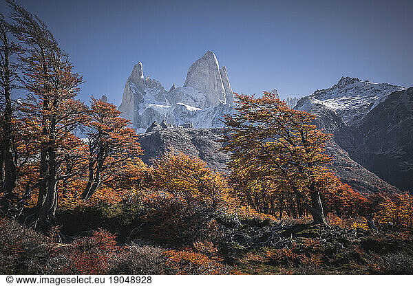 autumn in el chaltÃ©n with fitzroy peak in the background