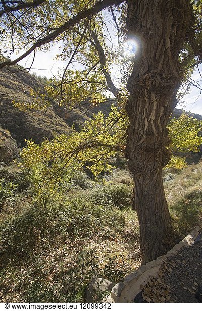Autumn in Rubielos de Mora village Teruel Aragon Spain.