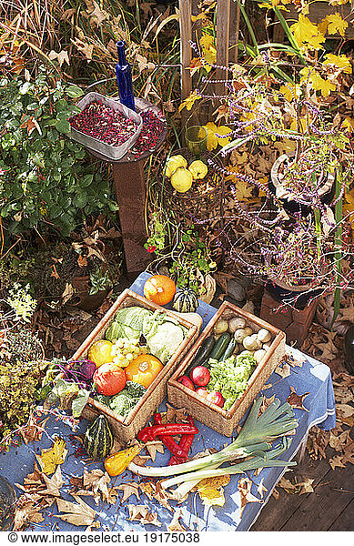 Autumn leaves  fruits and vegetables on garden table